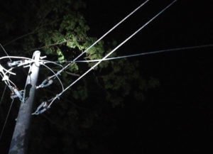 Kabirhat Noakhali ELTC Death Photo 14 Jan (3)